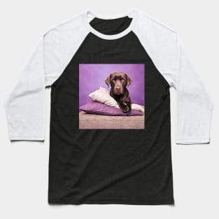 Lovely Chocolate Lab Baseball T-Shirt